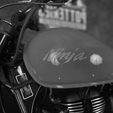 Наклейка Kawasaki Ninja